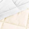 Full/Queen size 3-Piece Microfiber Reversible Comforter Set